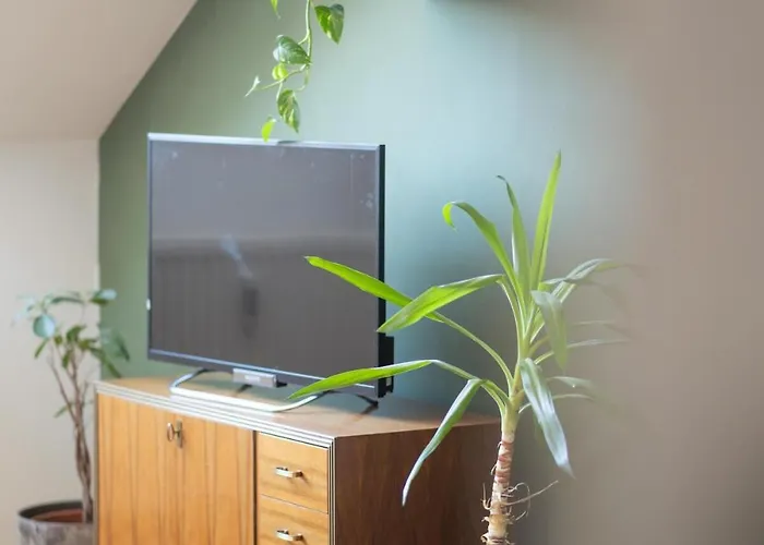 Apartamento Bright Secret Spot Griesplatz